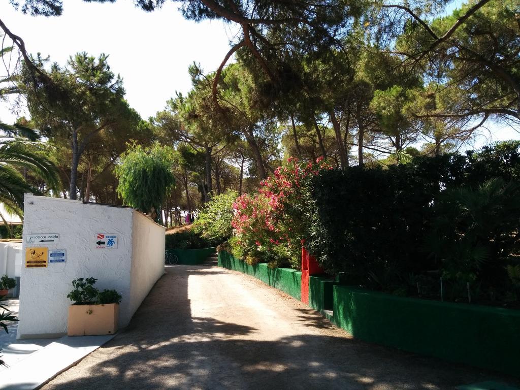 Campeggio La Mariposa ألغيرو المظهر الخارجي الصورة