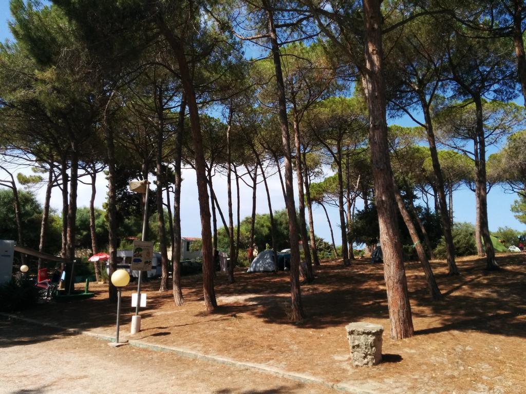 Campeggio La Mariposa ألغيرو المظهر الخارجي الصورة