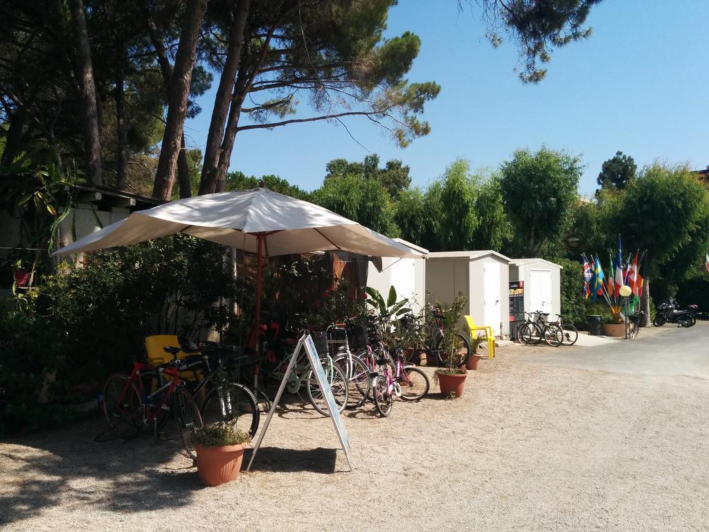 Campeggio La Mariposa ألغيرو المظهر الخارجي الصورة